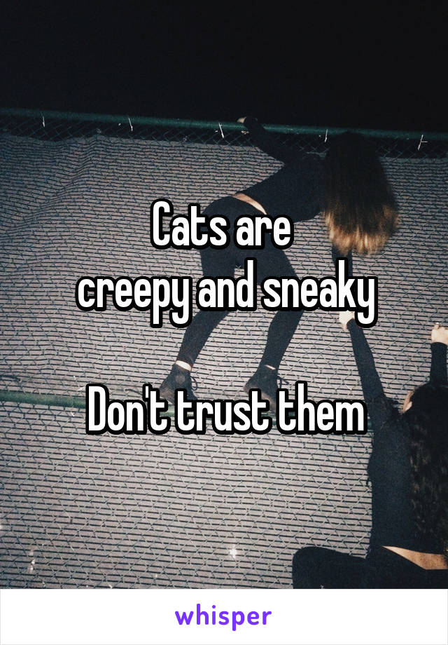 Cats are 
creepy and sneaky

Don't trust them