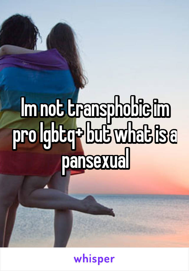 Im not transphobic im pro lgbtq+ but what is a pansexual