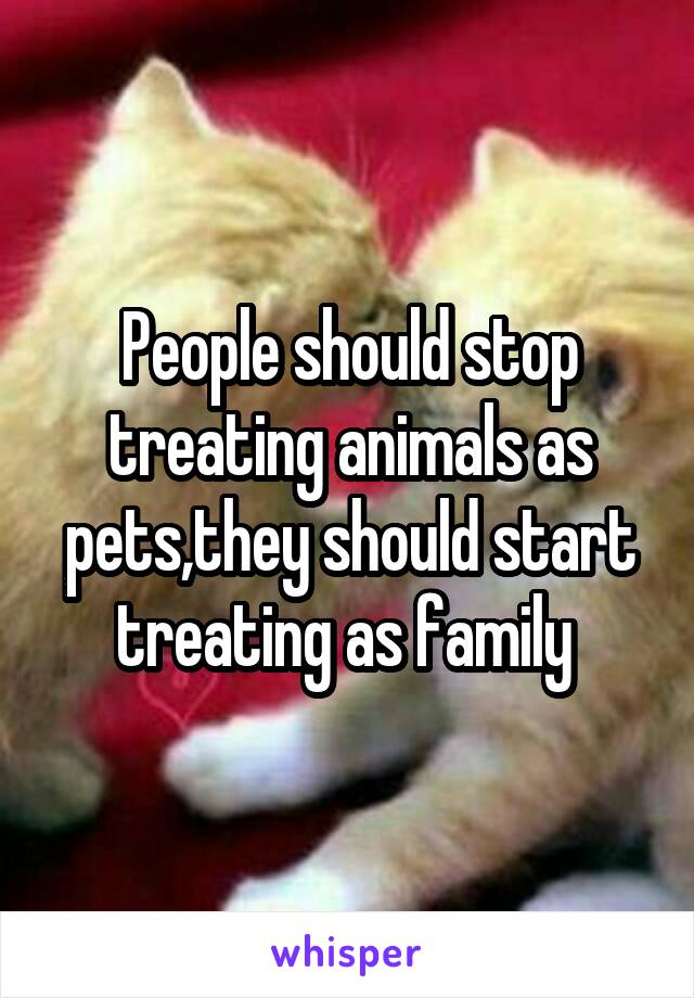 People should stop treating animals as pets,they should start treating as family 