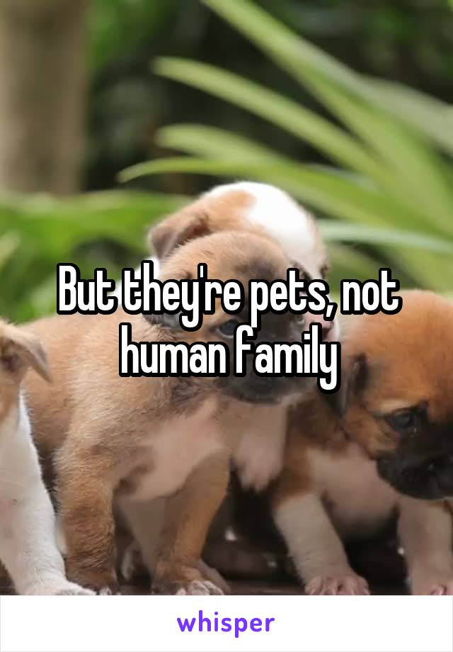 But they're pets, not human family