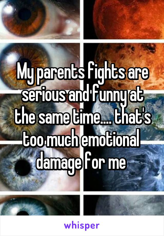 My parents fights are serious and funny at the same time.... that's too much emotional  damage for me 