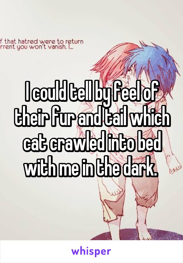 I could tell by feel of their fur and tail which cat crawled into bed with me in the dark. 