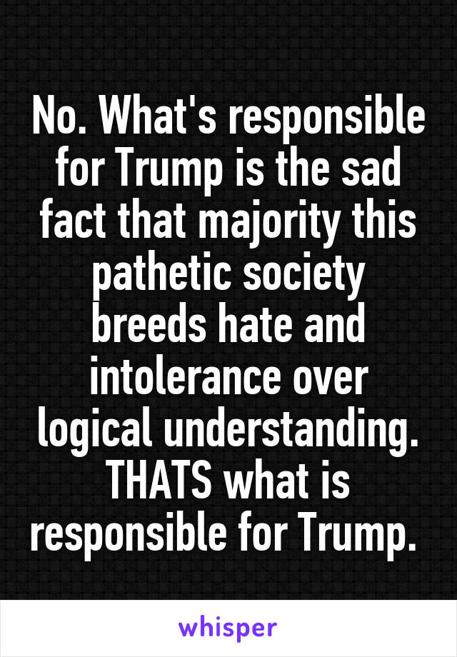 No. What's responsible for Trump is the sad fact that majority this pathetic society breeds hate and intolerance over logical understanding. THATS what is responsible for Trump. 