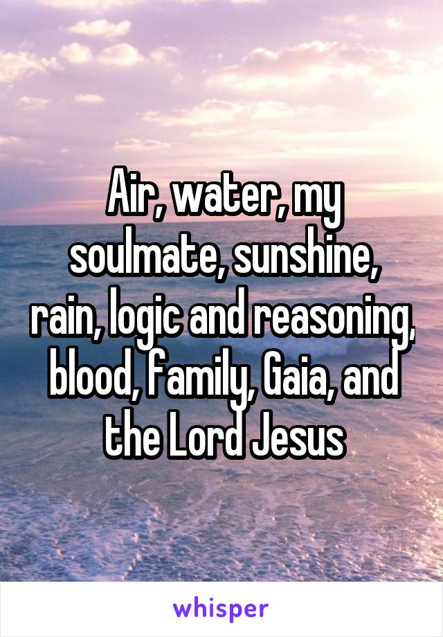 Air, water, my soulmate, sunshine, rain, logic and reasoning, blood, family, Gaia, and the Lord Jesus