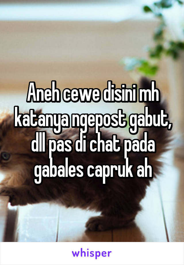 Aneh cewe disini mh katanya ngepost gabut, dll pas di chat pada gabales capruk ah