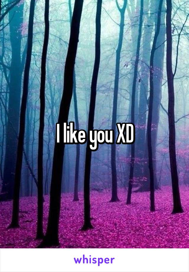 I like you XD