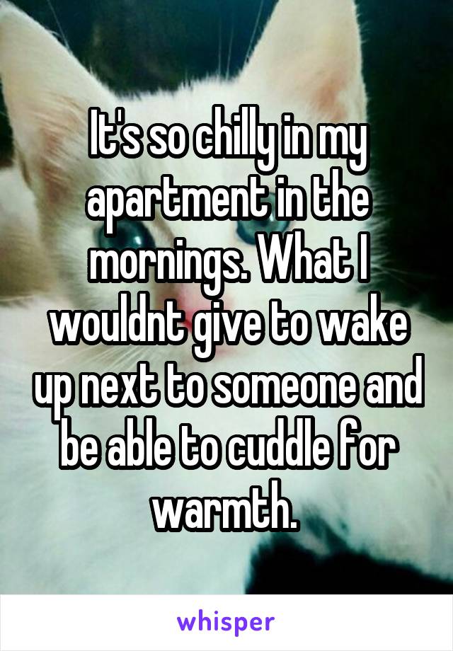 It's so chilly in my apartment in the mornings. What I wouldnt give to wake up next to someone and be able to cuddle for warmth. 