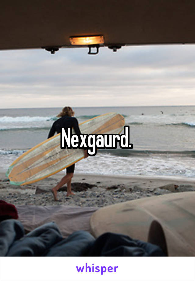 Nexgaurd. 