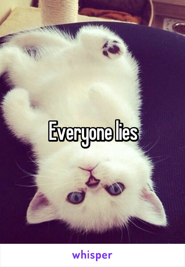 Everyone lies