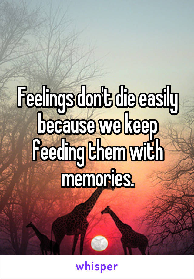 Feelings don't die easily because we keep feeding them with memories.