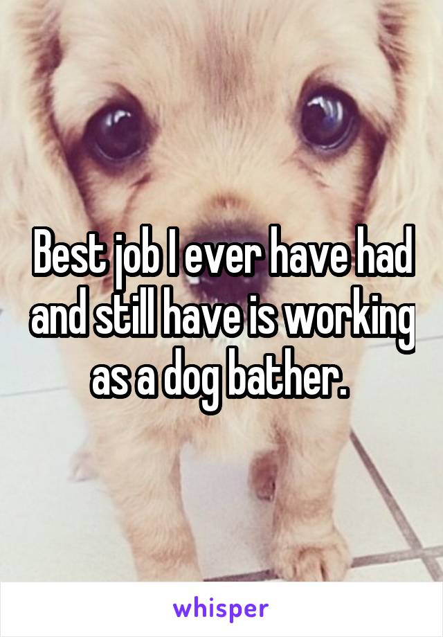 Best job I ever have had and still have is working as a dog bather. 