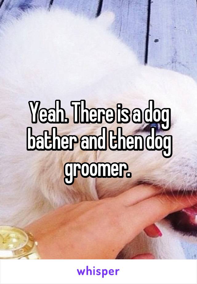 Yeah. There is a dog bather and then dog groomer. 