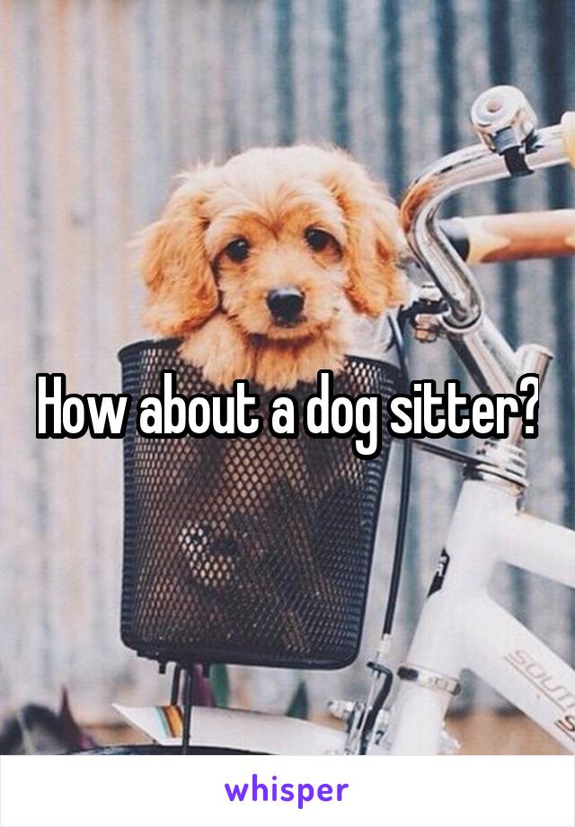 How about a dog sitter?