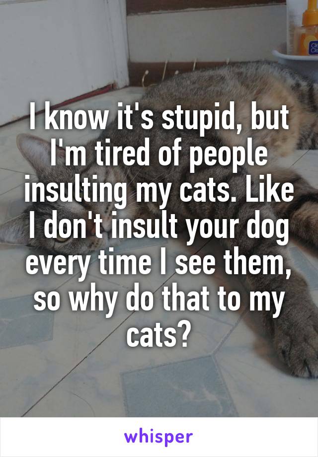 I know it's stupid, but I'm tired of people insulting my cats. Like I don't insult your dog every time I see them, so why do that to my cats?