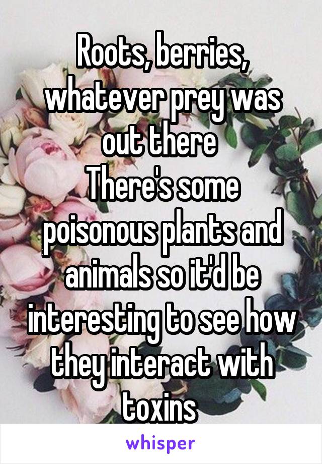 Roots, berries, whatever prey was out there 
There's some poisonous plants and animals so it'd be interesting to see how they interact with toxins 