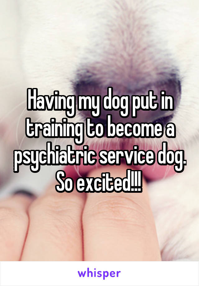 Having my dog put in training to become a psychiatric service dog. So excited!!! 