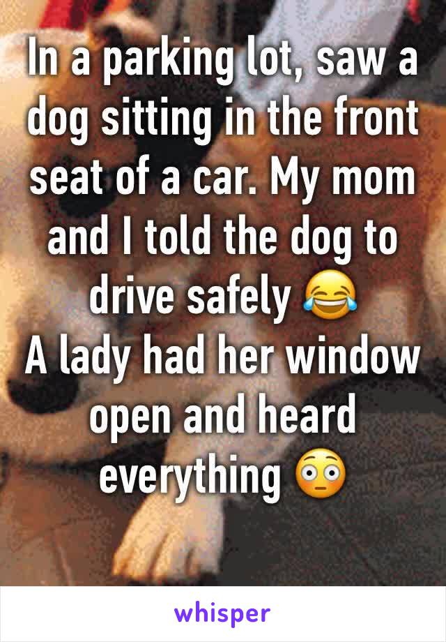 In a parking lot, saw a dog sitting in the front seat of a car. My mom and I told the dog to drive safely 😂
A lady had her window open and heard everything 😳