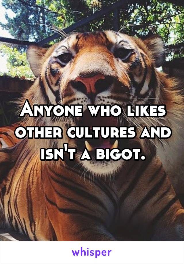 Anyone who likes other cultures and isn't a bigot.