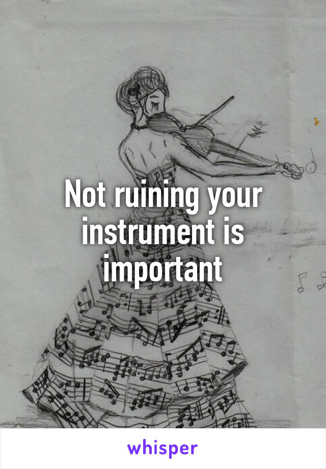 Not ruining your instrument is important