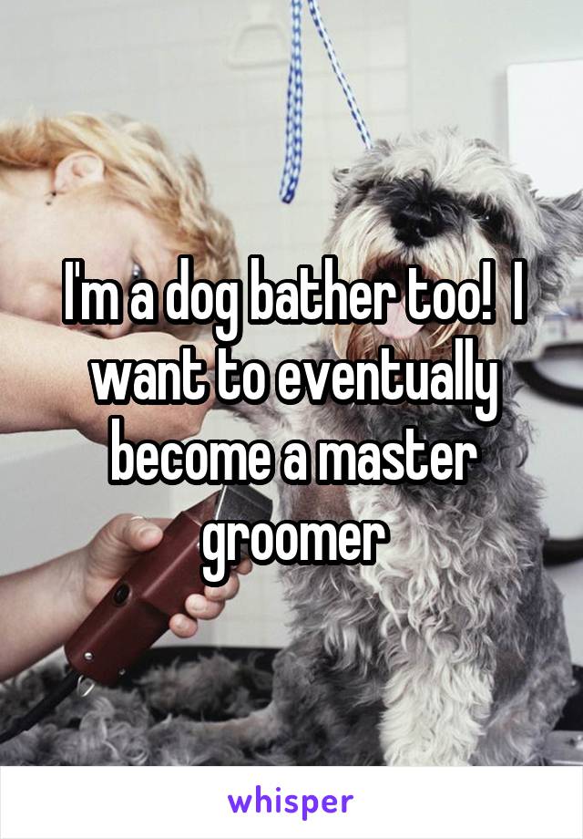 I'm a dog bather too!  I want to eventually become a master groomer