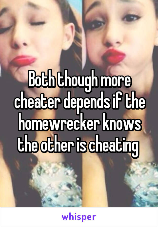 Both though more cheater depends if the homewrecker knows the other is cheating 