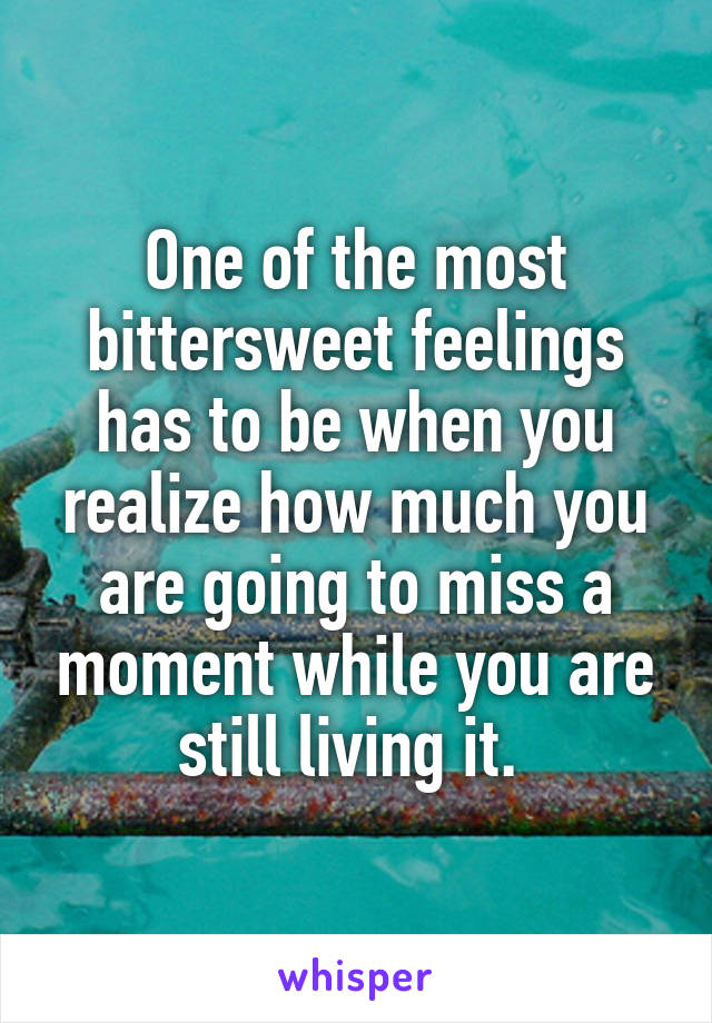 One of the most bittersweet feelings has to be when you realize how much you are going to miss a moment while you are still living it. 