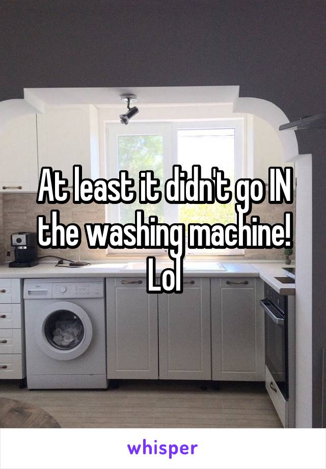 At least it didn't go IN the washing machine! Lol