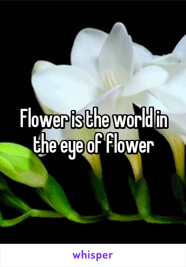 Flower is the world in the eye of flower