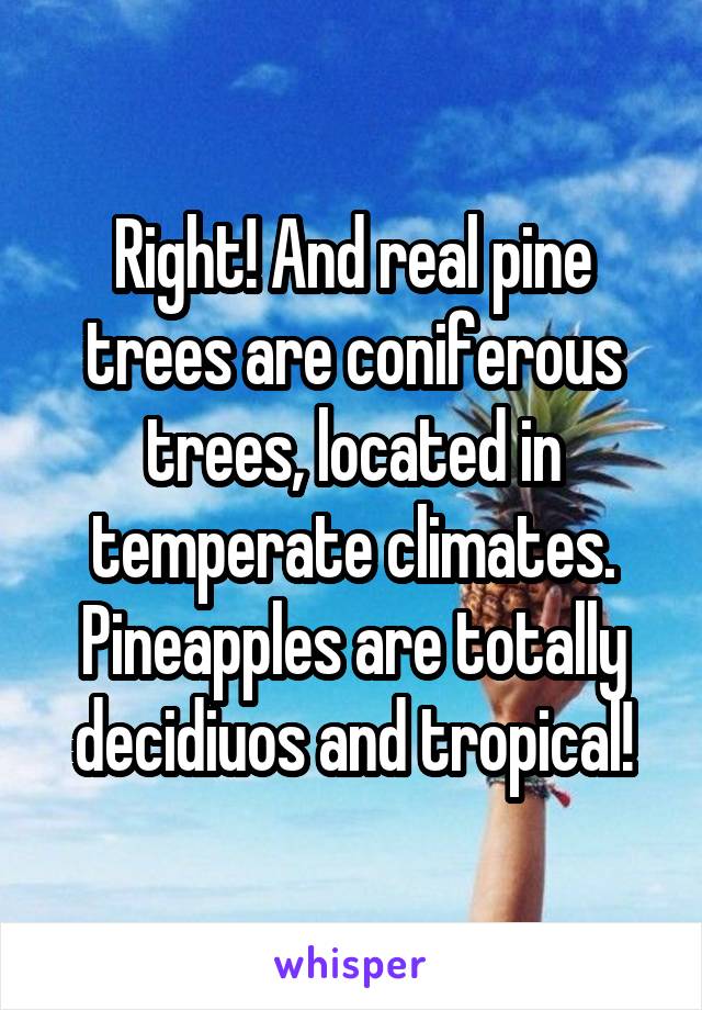 Right! And real pine trees are coniferous trees, located in temperate climates. Pineapples are totally decidiuos and tropical!