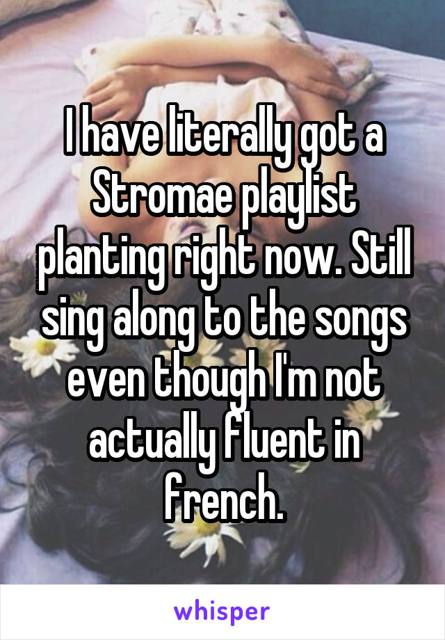 I have literally got a Stromae playlist planting right now. Still sing along to the songs even though I'm not actually fluent in french.