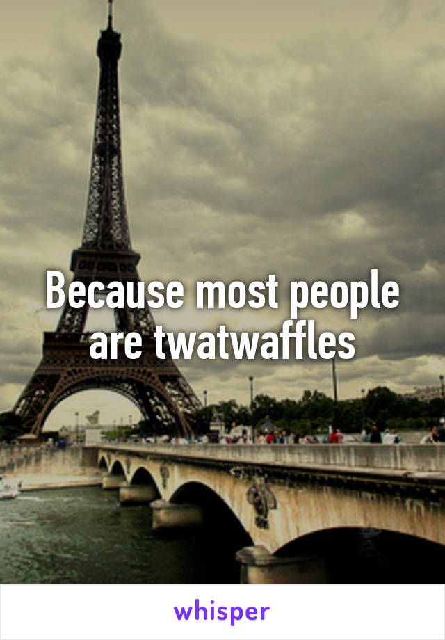 Because most people are twatwaffles