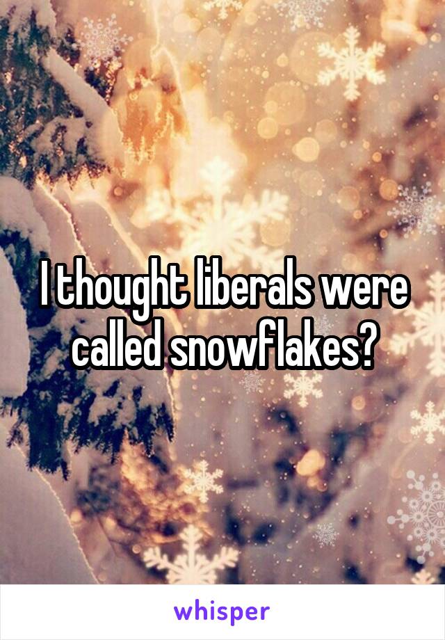 I thought liberals were called snowflakes?