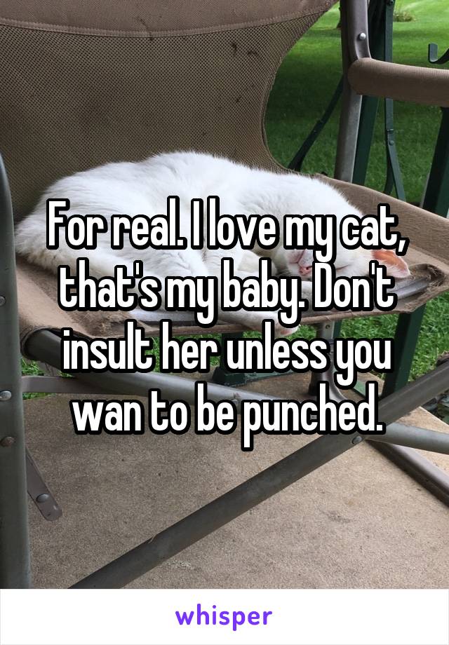 For real. I love my cat, that's my baby. Don't insult her unless you wan to be punched.