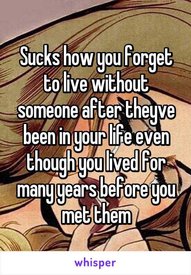 Sucks how you forget to live without someone after theyve been in your life even though you lived for many years before you met them