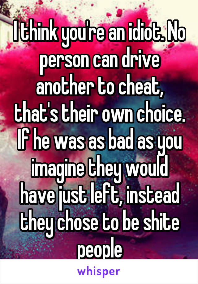 I think you're an idiot. No person can drive another to cheat, that's their own choice. If he was as bad as you imagine they would have just left, instead they chose to be shite people