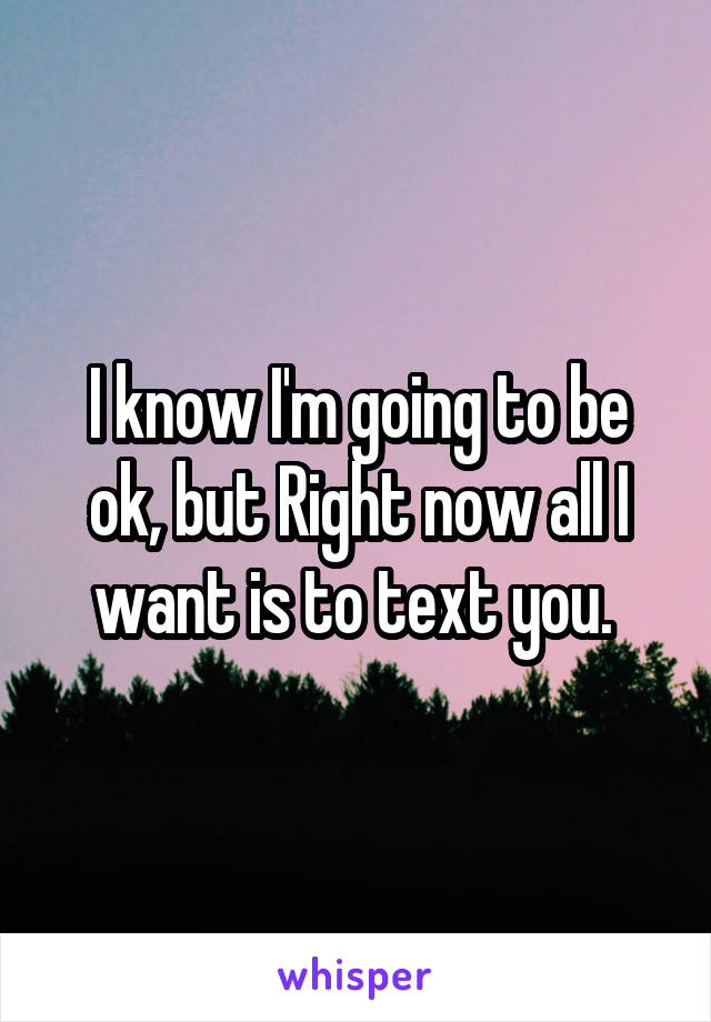 I know I'm going to be ok, but Right now all I want is to text you. 
