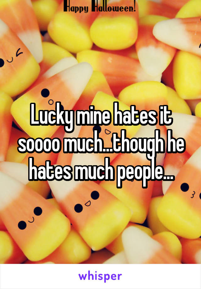 Lucky mine hates it soooo much...though he hates much people...