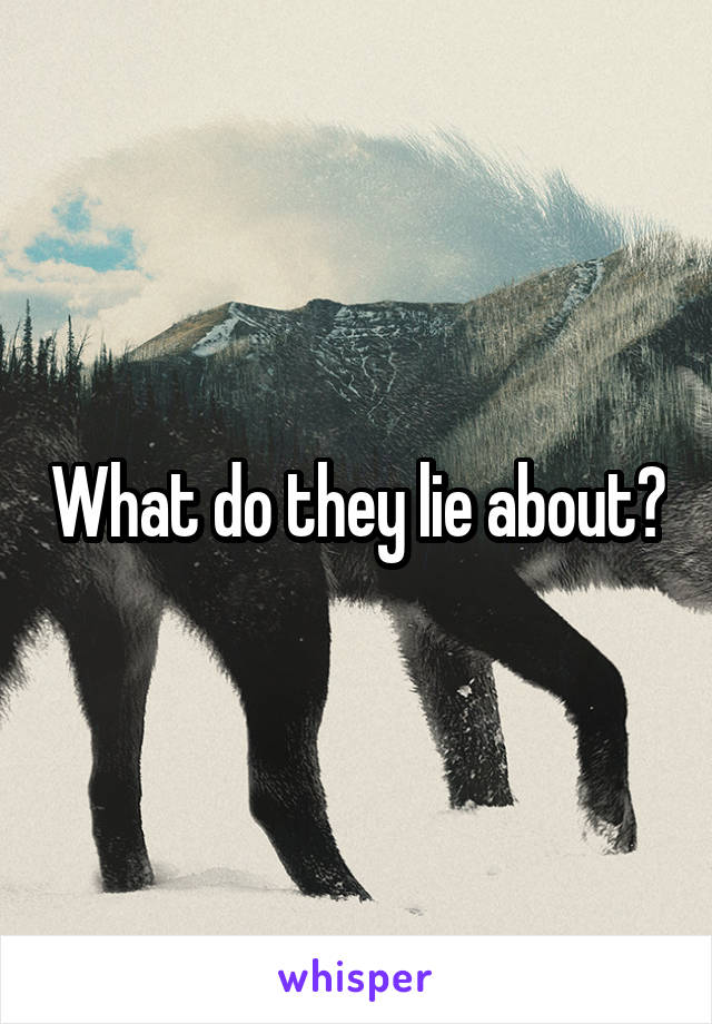 What do they lie about?