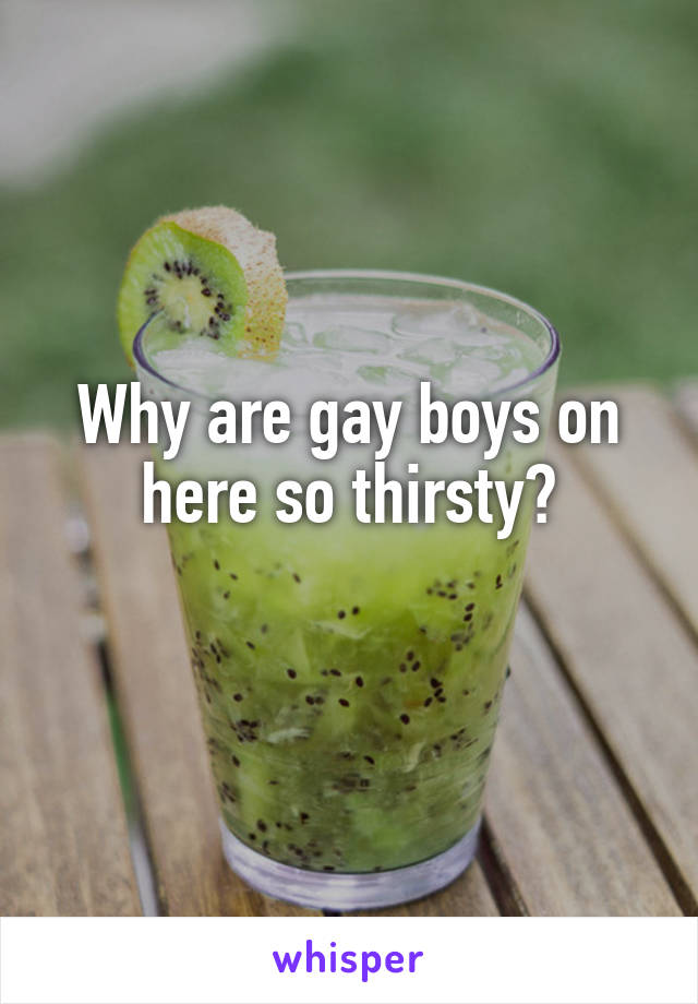 Why are gay boys on here so thirsty?
