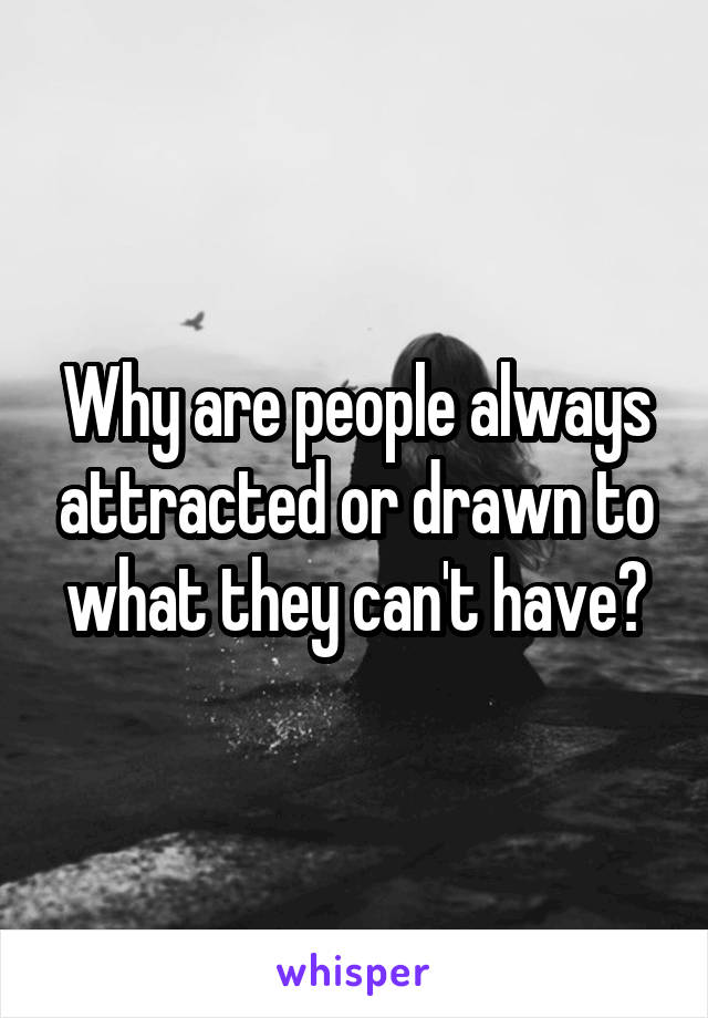 Why are people always attracted or drawn to what they can't have?