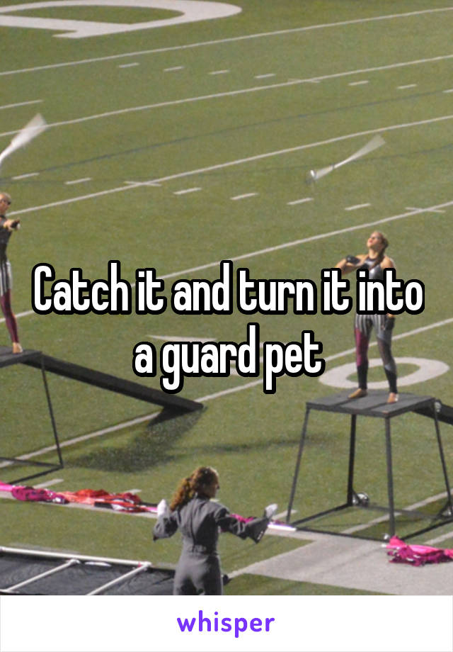 Catch it and turn it into a guard pet