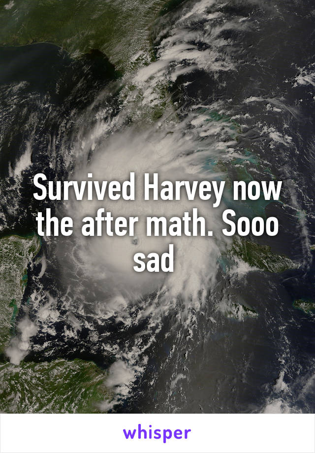 Survived Harvey now the after math. Sooo sad 