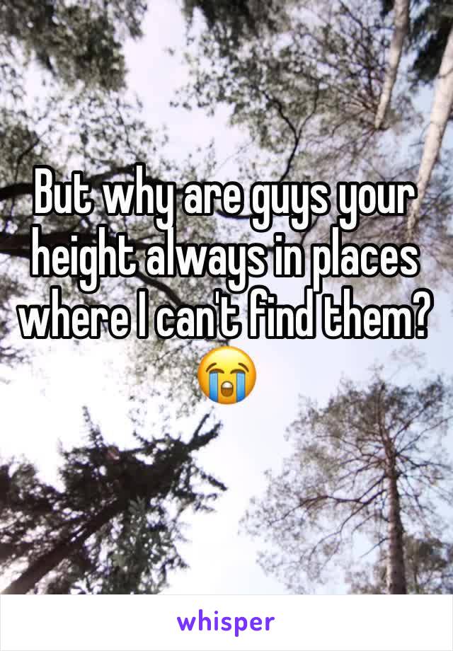 But why are guys your height always in places where I can't find them? 😭