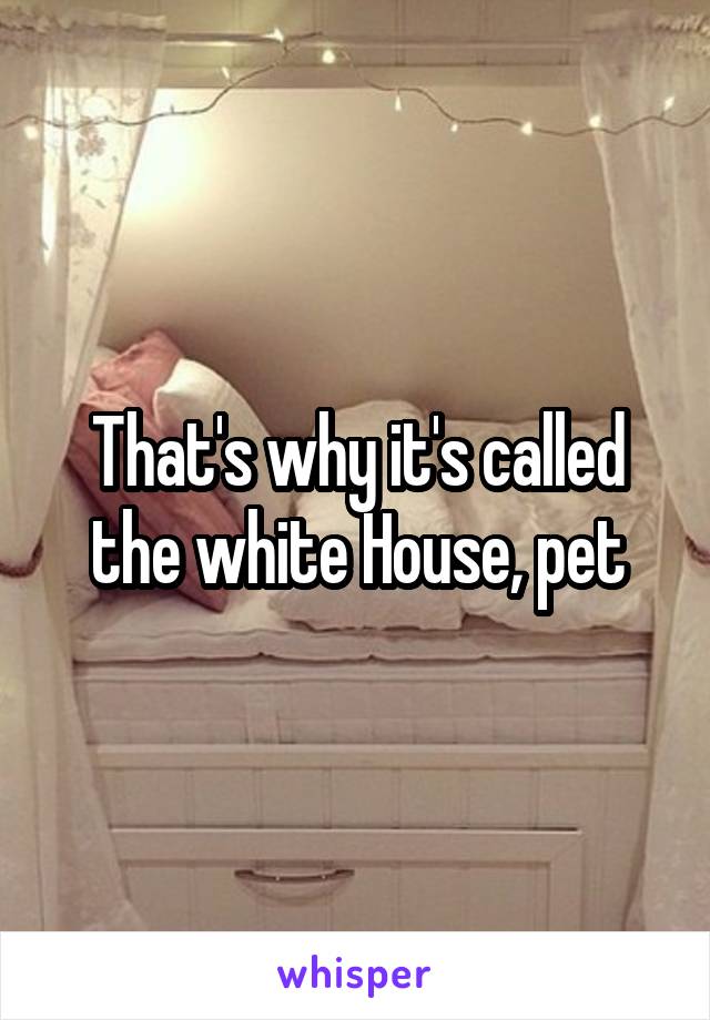 That's why it's called the white House, pet