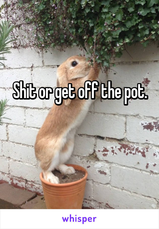 Shit or get off the pot.

