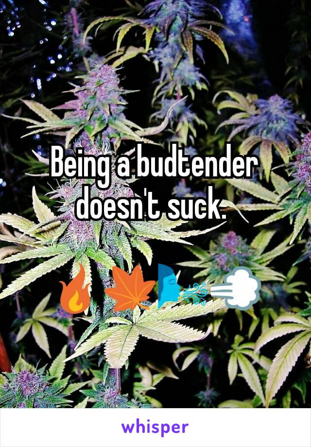 Being a budtender doesn't suck. 

🔥🍁🌬️💨