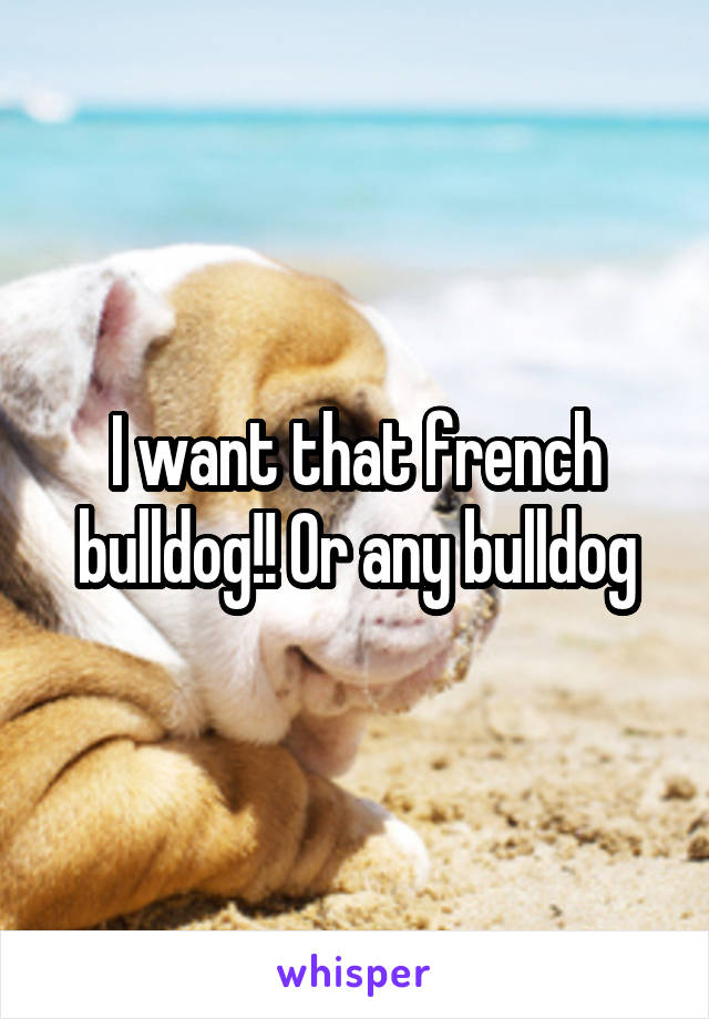 I want that french bulldog!! Or any bulldog