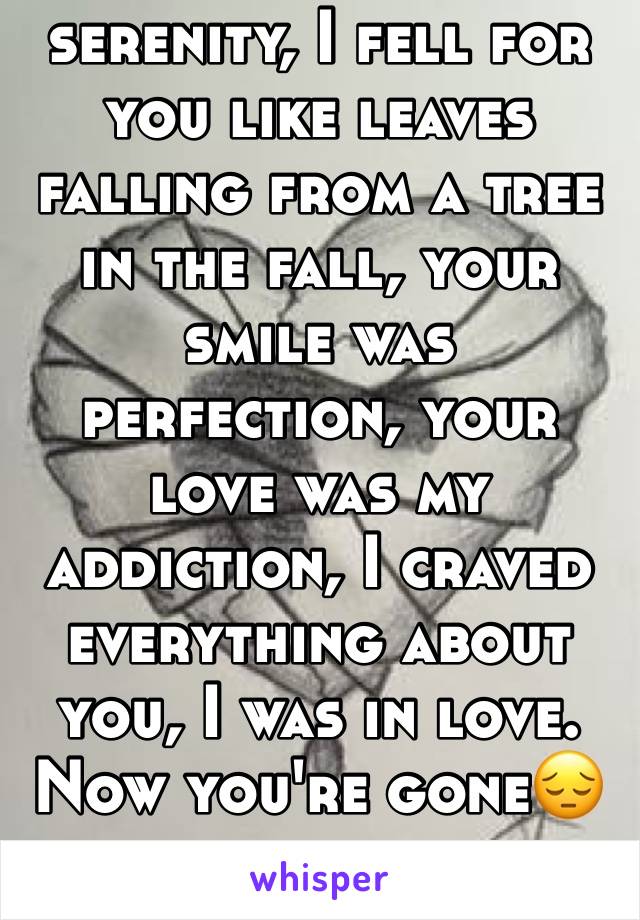 You were my serenity, I fell for you like leaves falling from a tree in the fall, your smile was perfection, your love was my addiction, I craved everything about you, I was in love. Now you're gone😔