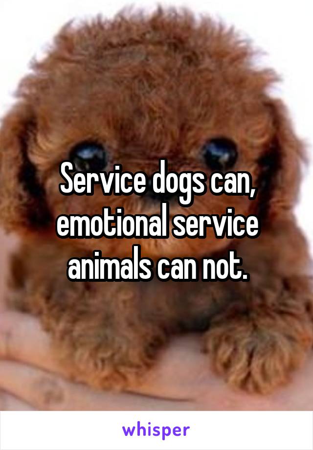 Service dogs can, emotional service animals can not.