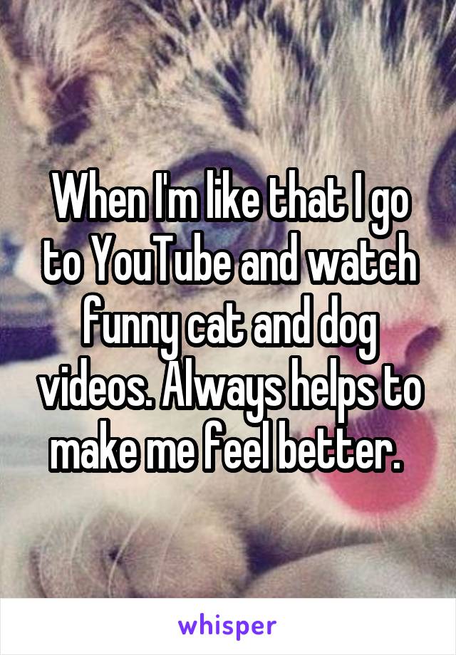 When I'm like that I go to YouTube and watch funny cat and dog videos. Always helps to make me feel better. 